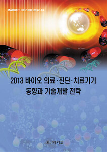 2013 바이오 의료·진단·치료기기 동향과 기술개발 전략