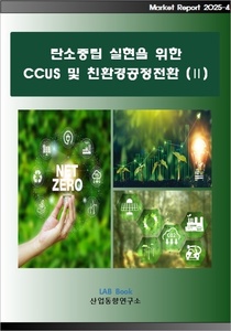 탄소중립 실현을 위한 CCUS 및 친환경공정전환 (Ⅱ)