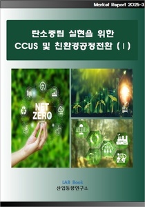 탄소중립 실현을 위한 CCUS 및 친환경공정전환 (Ⅰ)