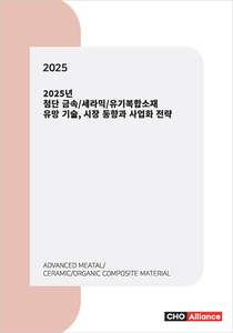 2025년 첨단 금속/세라믹/유기복합소재 유망 기술, 시장 동향과 사업화 전략