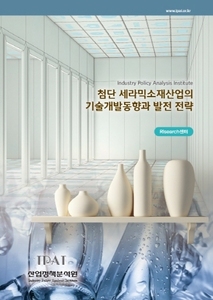 첨단 세라믹소재산업의 기술개발동향과 발전 전략