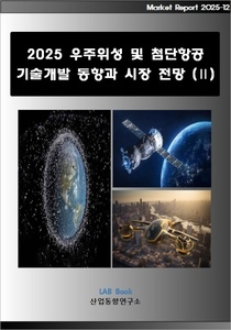 2025 우주위성 및 첨단항공 기술개발 동향과 시장 전망 (Ⅱ)