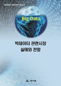 빅데이터 관련시장 실태와 전망