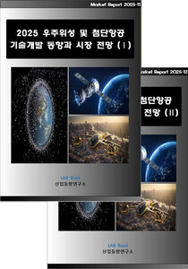 2025 우주위성 및 첨단항공 기술개발 동향과 시장 전망 (Ⅰ, Ⅱ 세트)