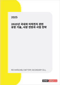 2025년 국내외 이차전지 관련 유망 기술, 시장 전망과 사업 전략